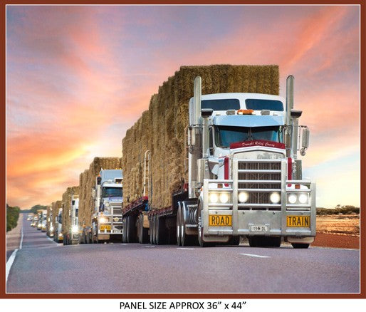 Road Trains Panels Assorted