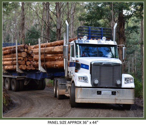 Road Trains Panels Assorted