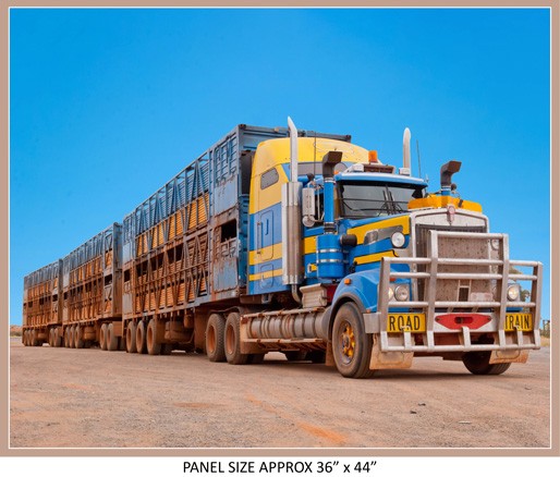 Road Trains Panels Assorted