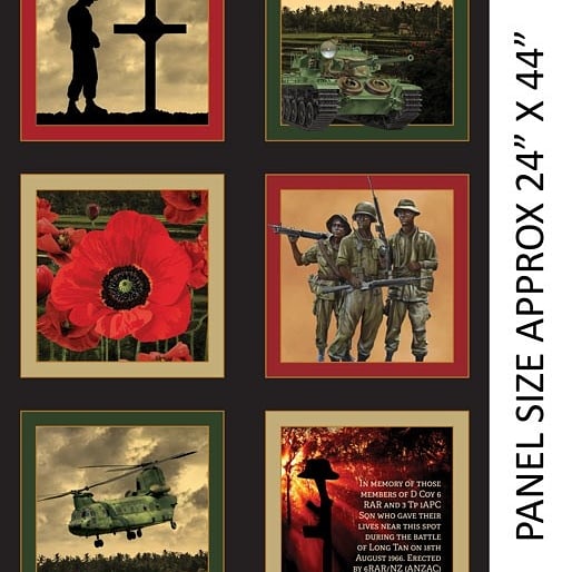 Remembering Vietnam War Panels