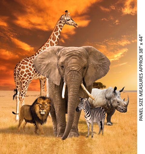 African Safari Panels