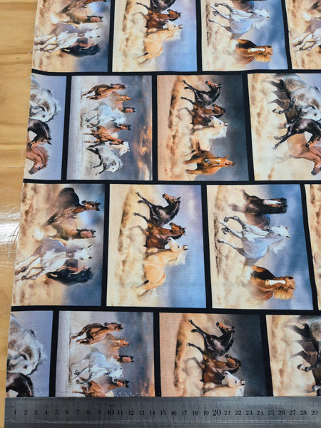 Brumbies Patchwork